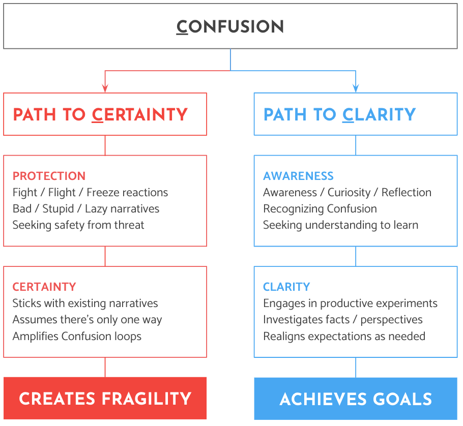 Confusion to clarity model