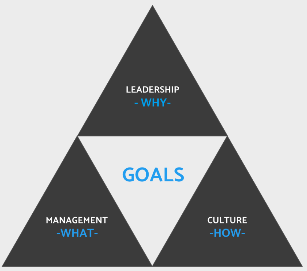 Enterprise Clarity Model diagram