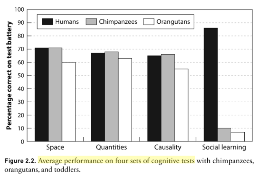collective cognition diagram