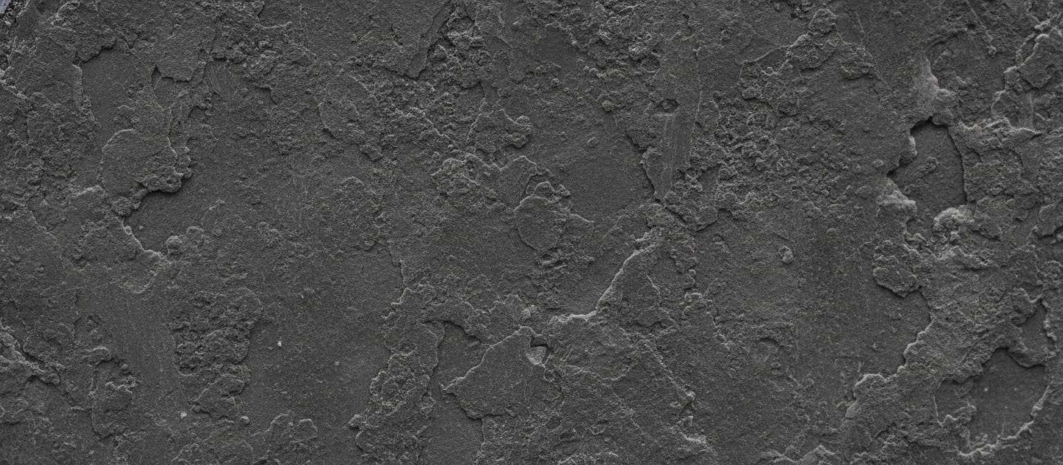 Texture