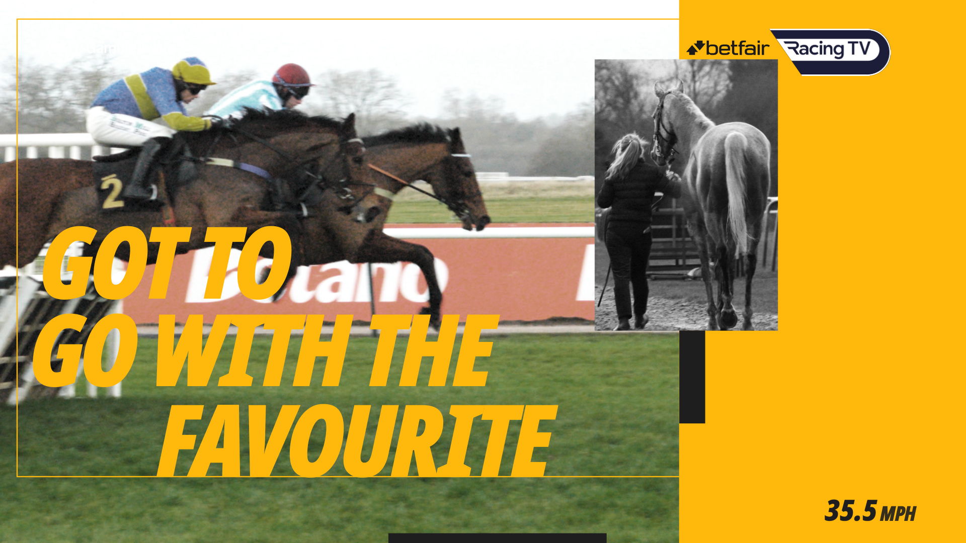 Betfair Racing TV — Got To Go With The Favourite