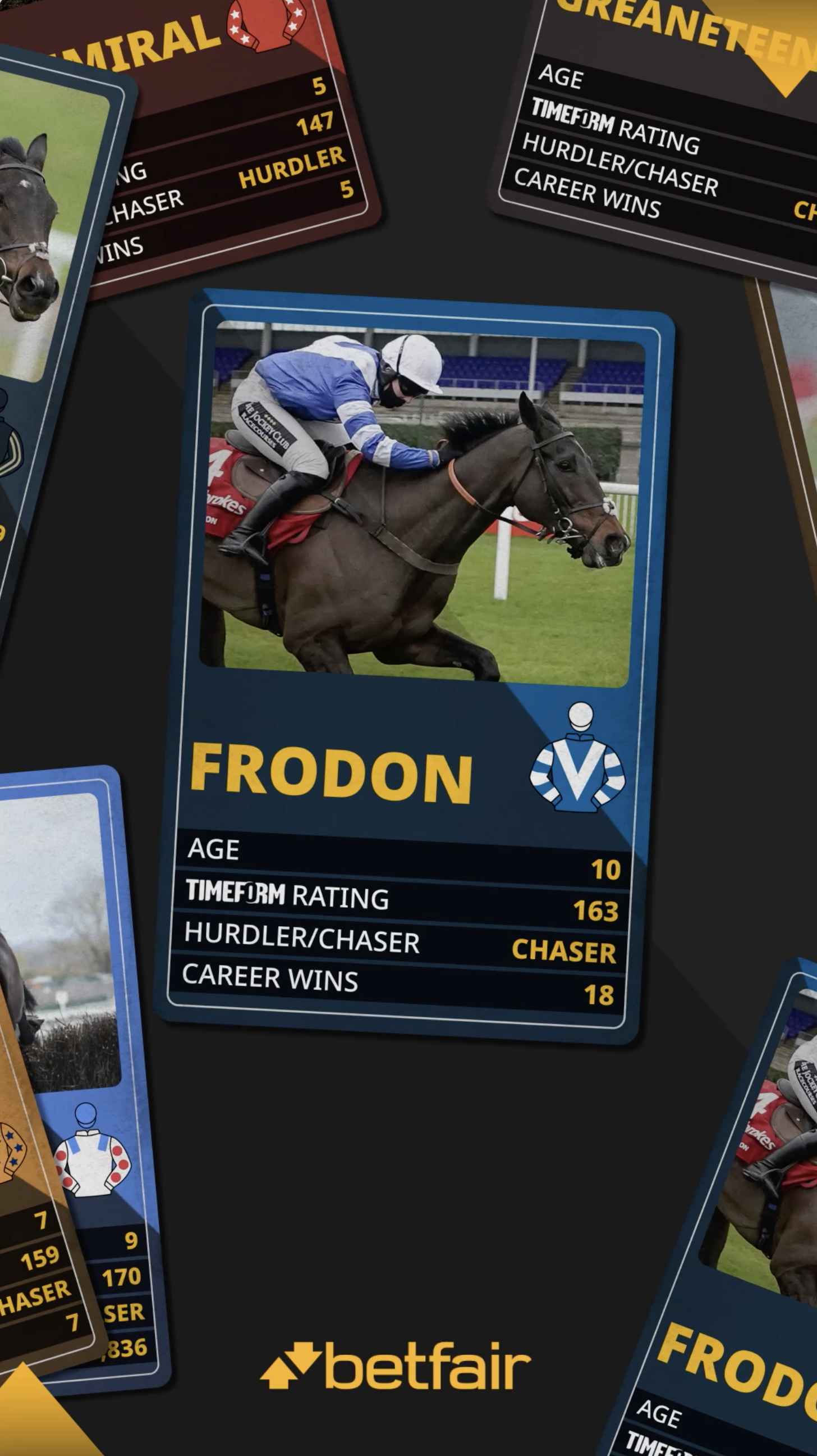 Betfair Racing campaign still