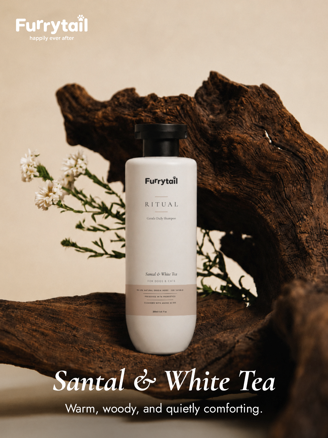 Gentle Daily Shampoo — Santal & White Tea