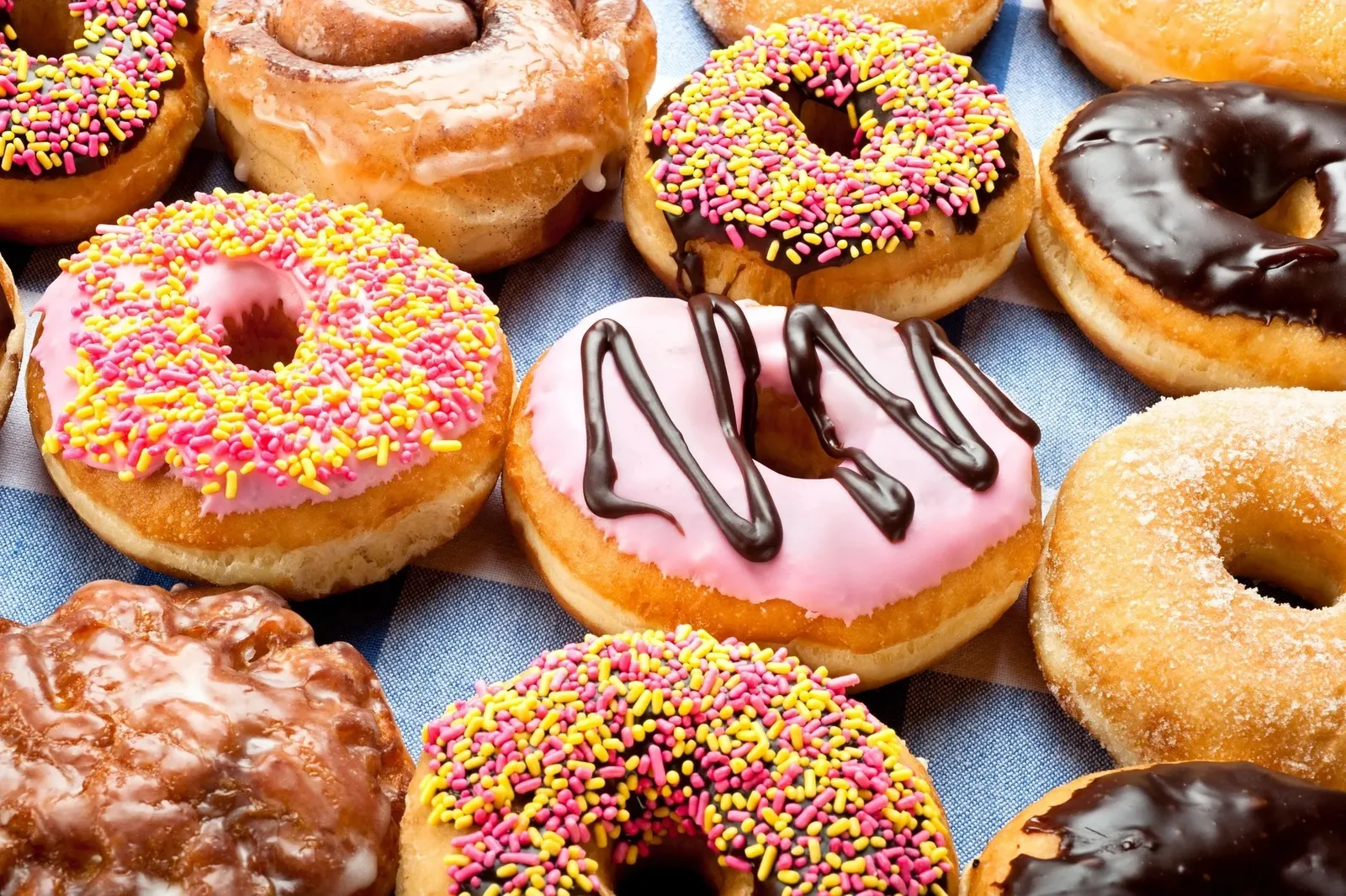 We Knead Donuts Littleton: photo supplied with the case study