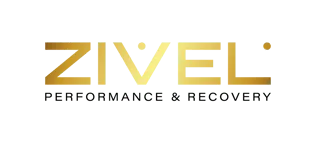 Zivel logo